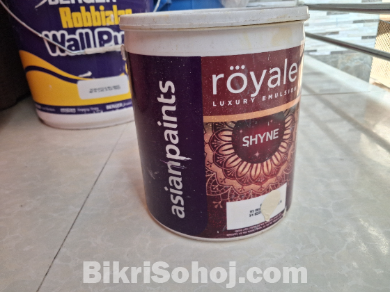 Asian Royale Shyne Paint